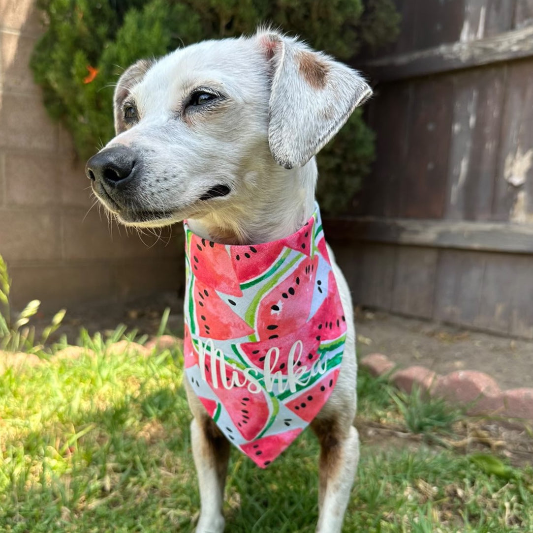 Watermelon Bandana