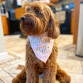 Birthday Girl Bandana