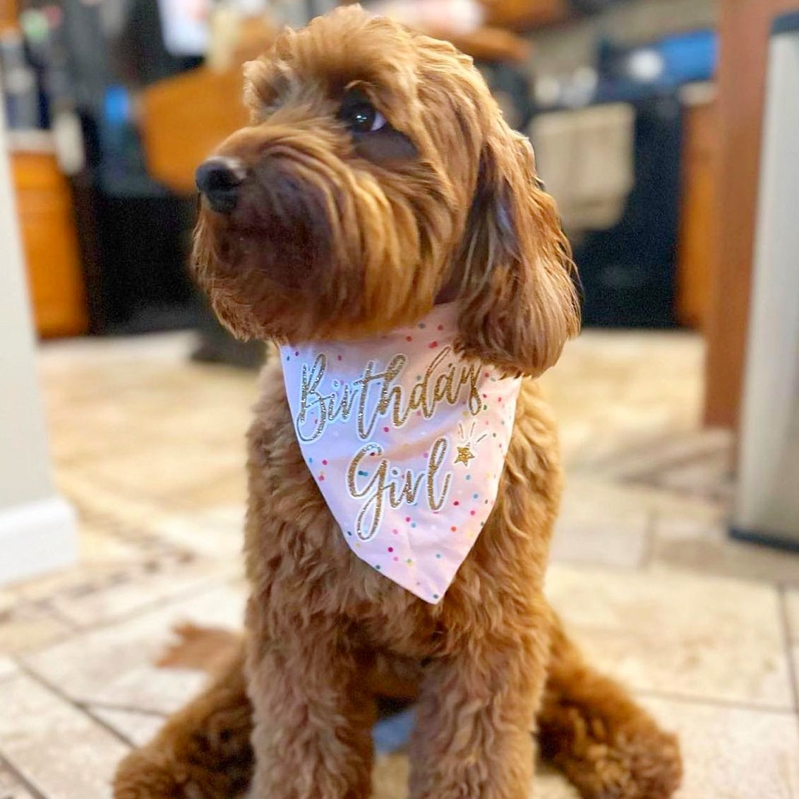 Birthday Girl Bandana