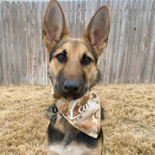 Tan Camouflage Bandana