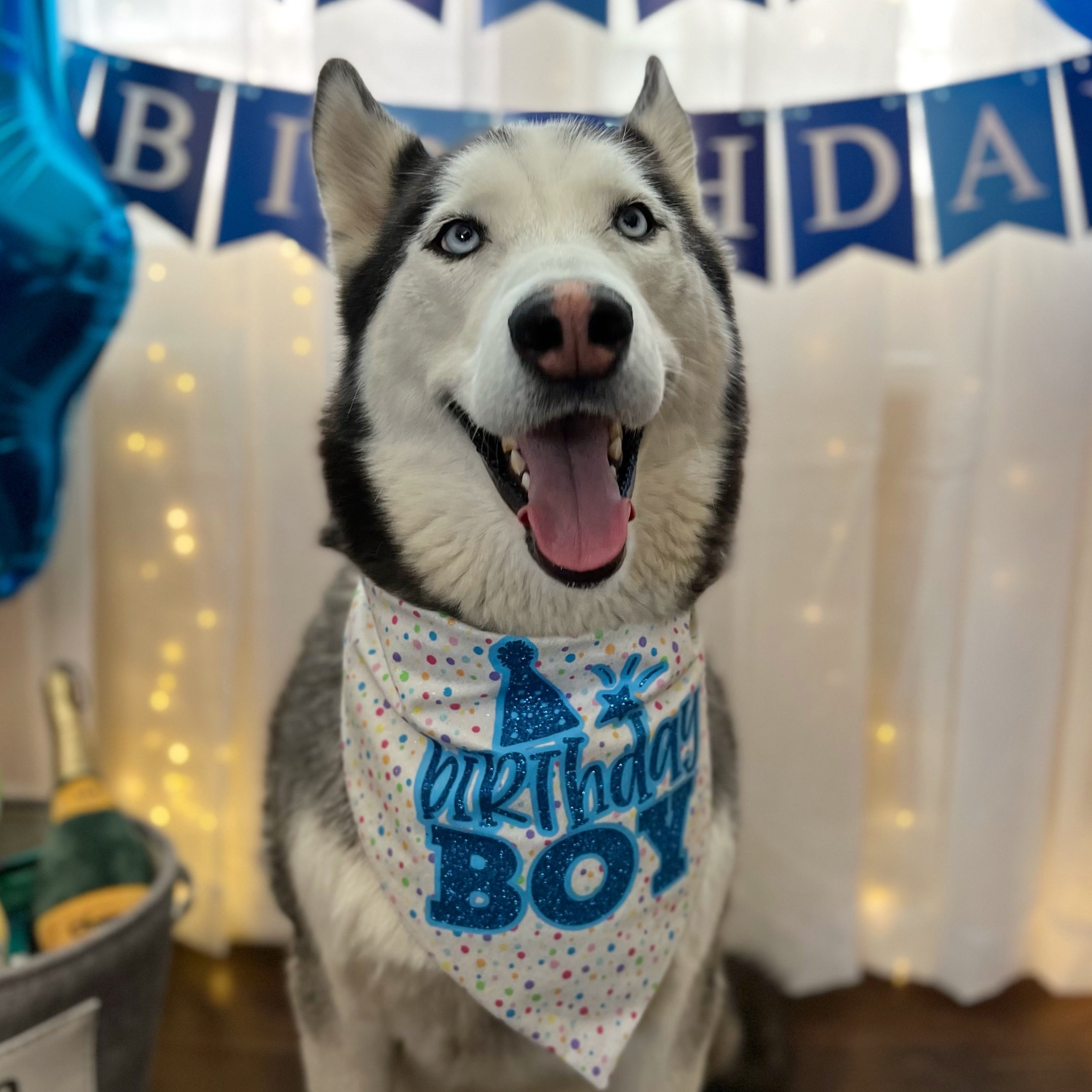 Birthday Boy Bandana