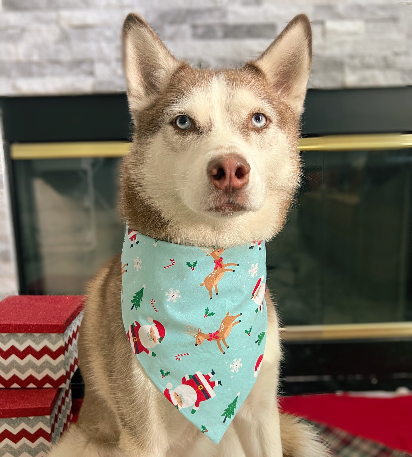 Winter Wonderland Bandana