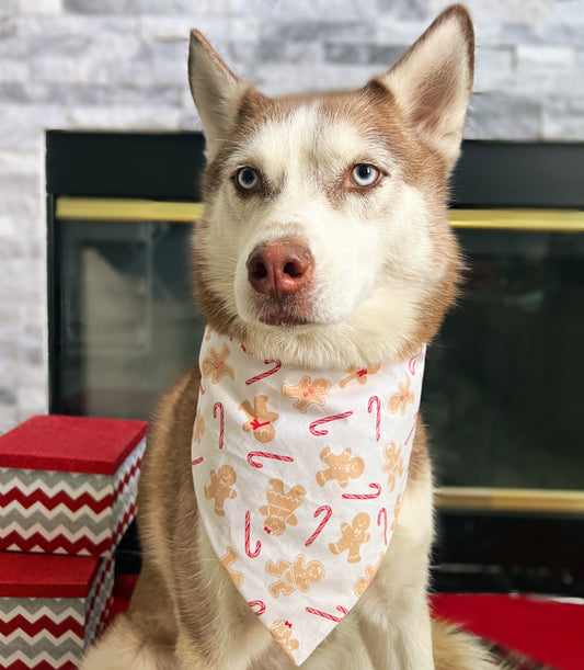 Glitter Gingerbread Bandana