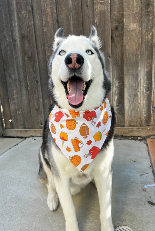 Dog wearing a colorful bandana with pumpkins and leaves, sitting on a concrete surface with a wooden fence in the background.