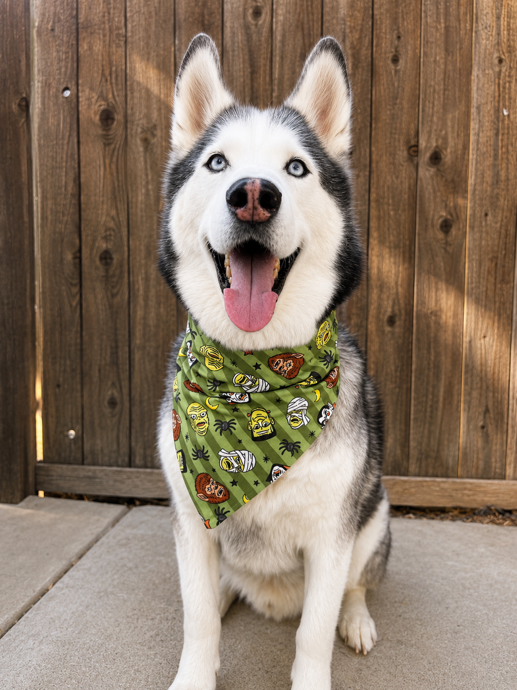 A Siberian husky dog wearing a green bandana with a cartoon character print, sitting in front of a wooden fence.