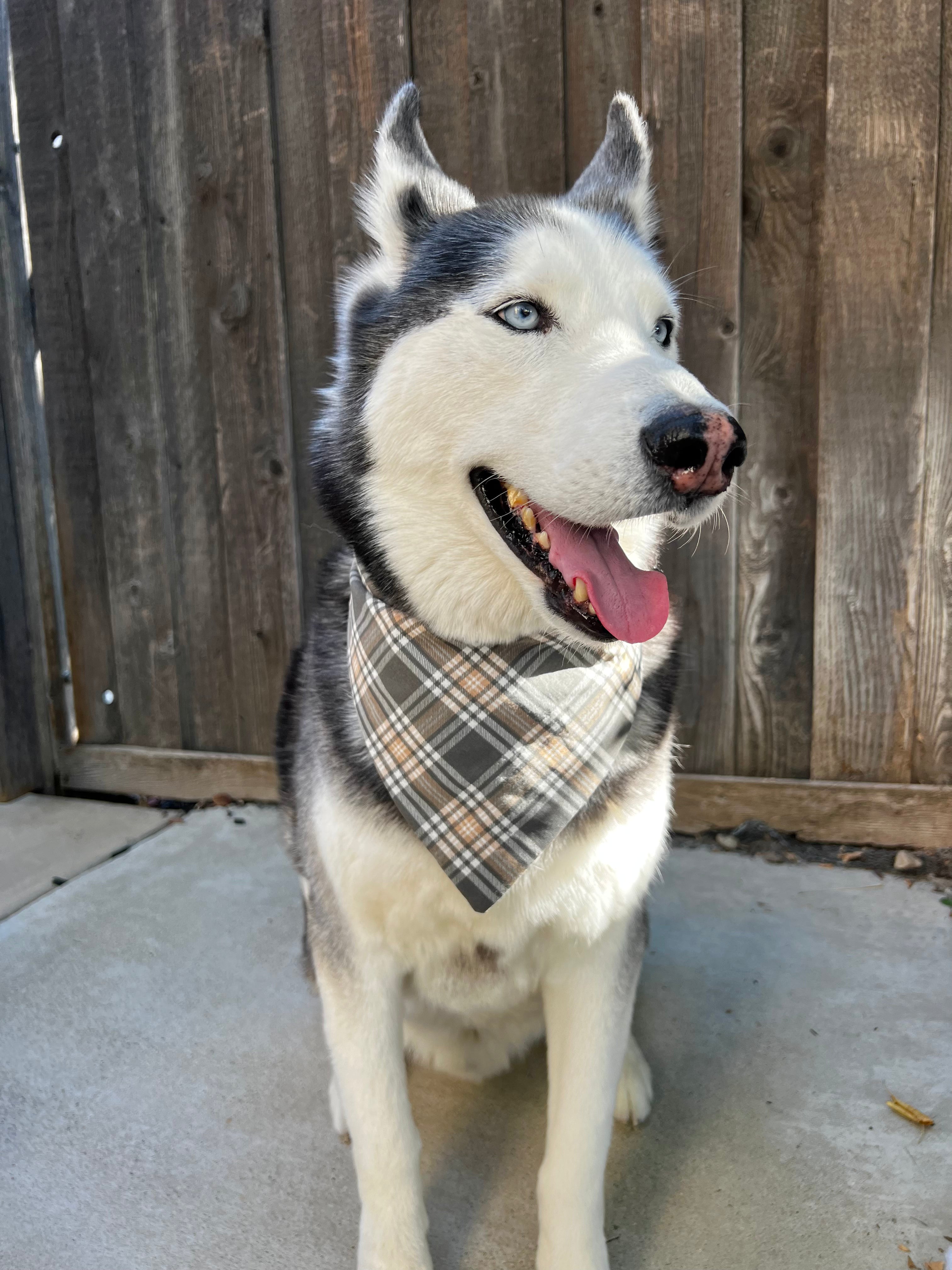 Grey Plaid Fall Bandana