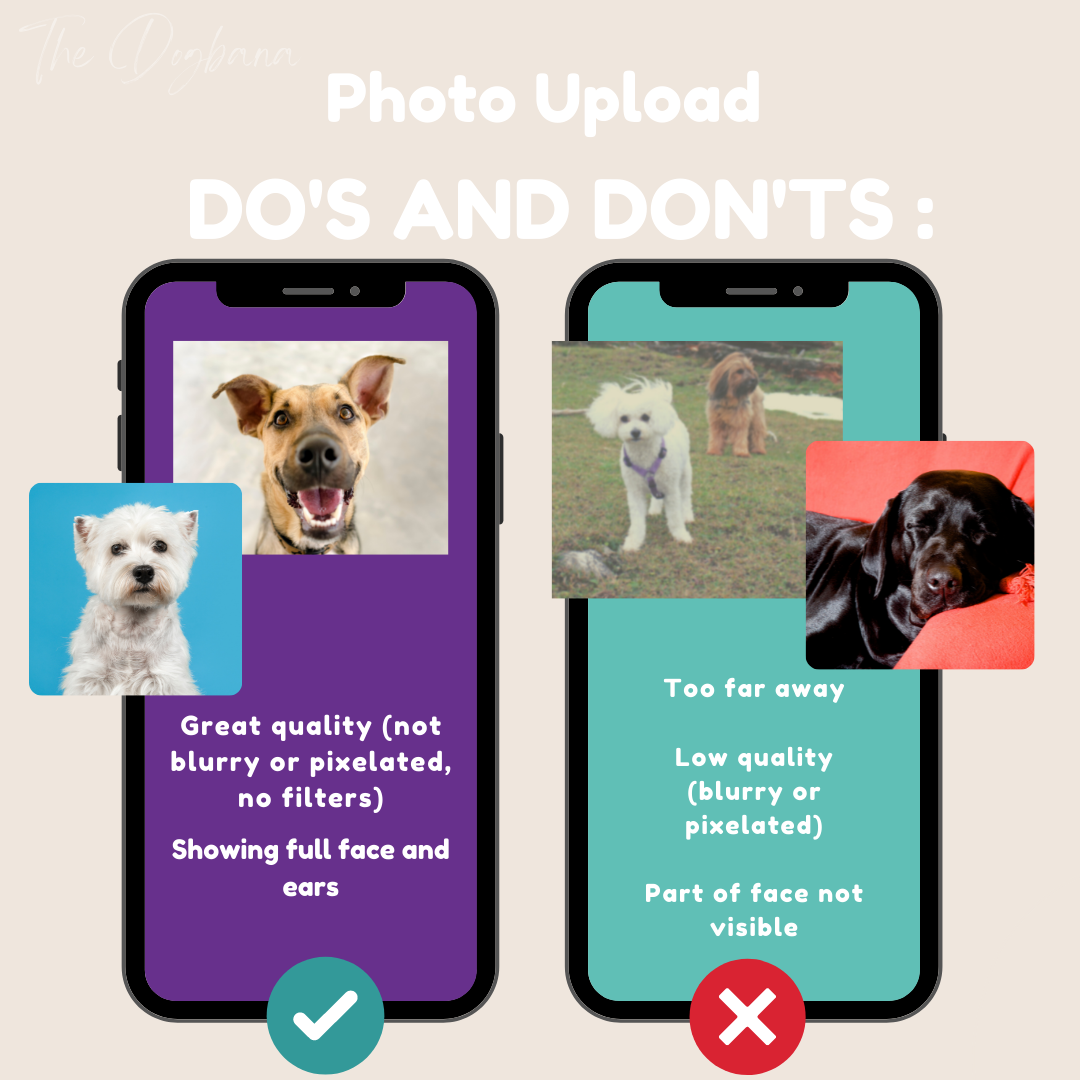 Soft Honey Custom Pet Portrait Crewneck