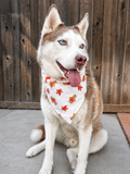A husky dog sitting outdoors in front of a wooden fence, wearing a white bandana printed with orange and red autumn leaves.
