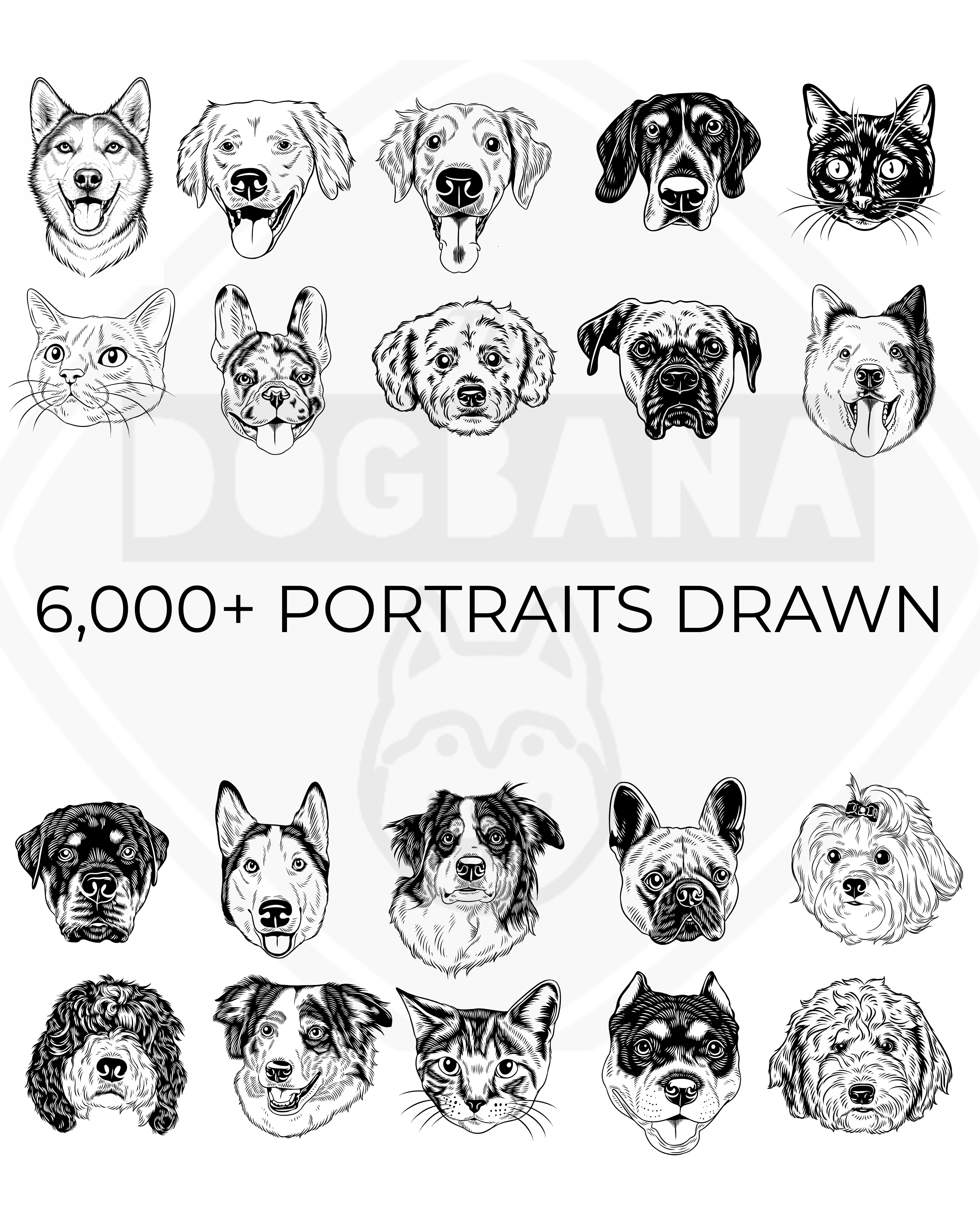 The Dogbana Custom Portraits portfolio 