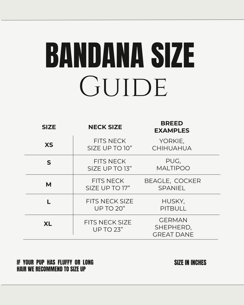 2026 Grad Squad Bandana