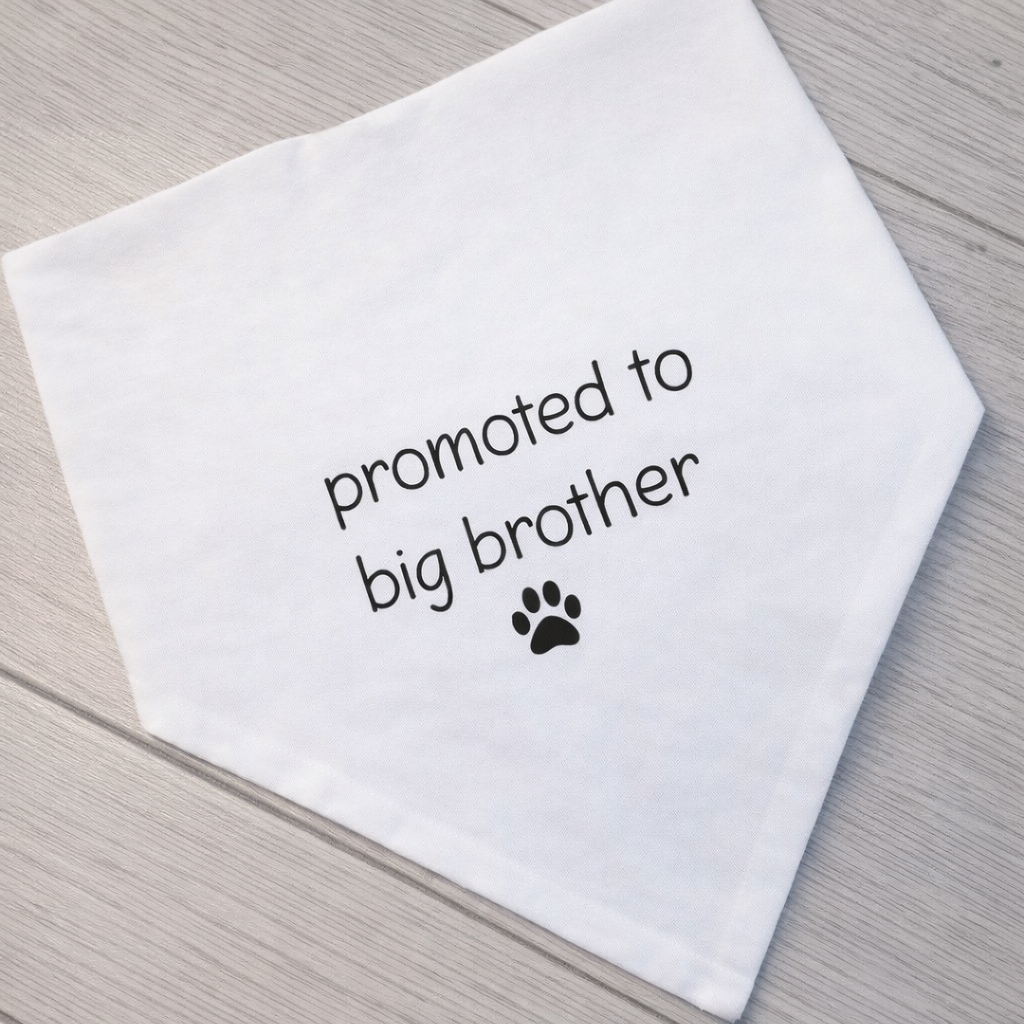 White dog bandana with 'promoted to big brother' text and paw print on a wooden surface