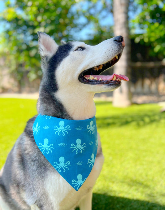 Squid Frenzy Bandana