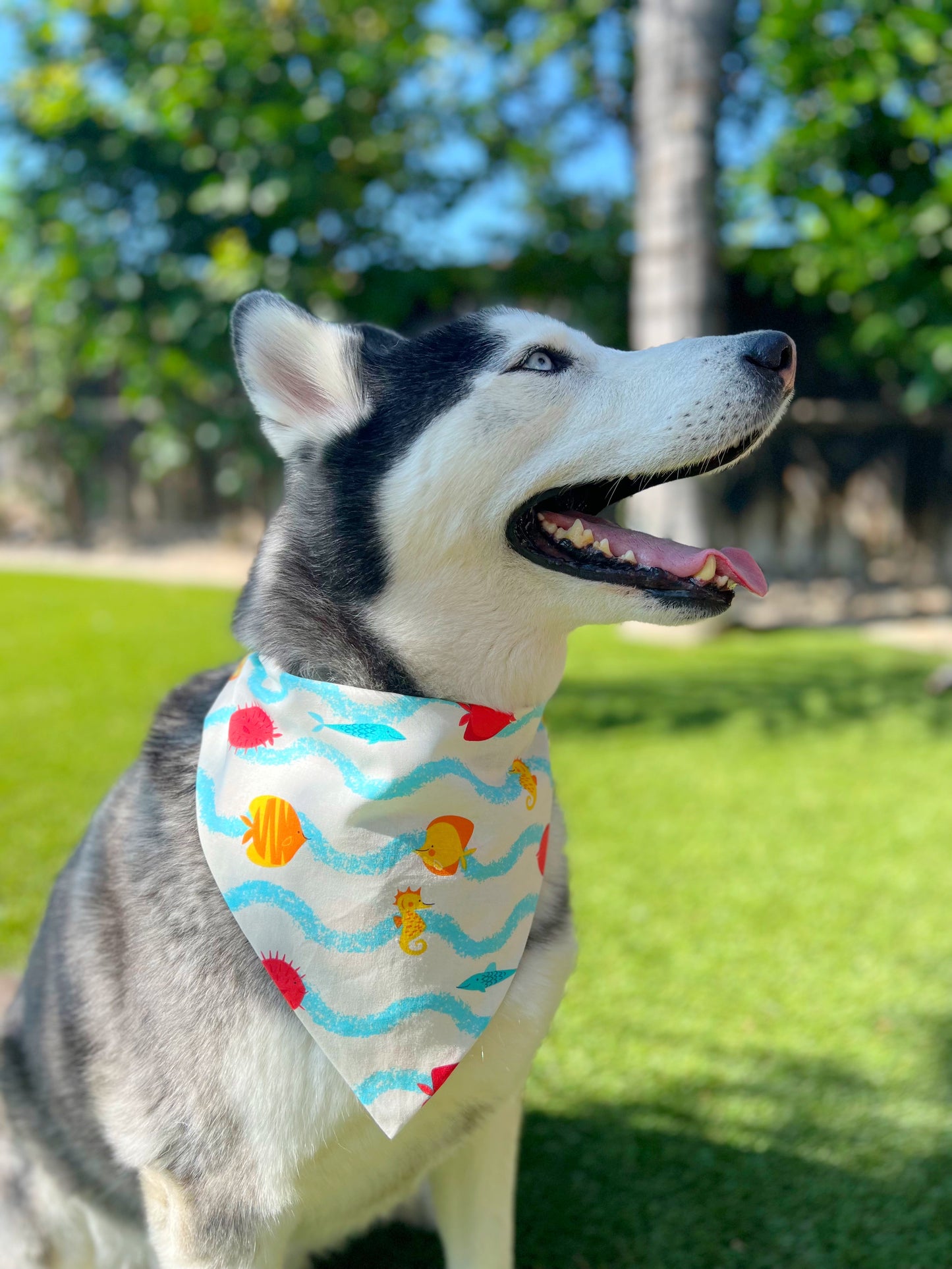 Sea Adventures Bandana