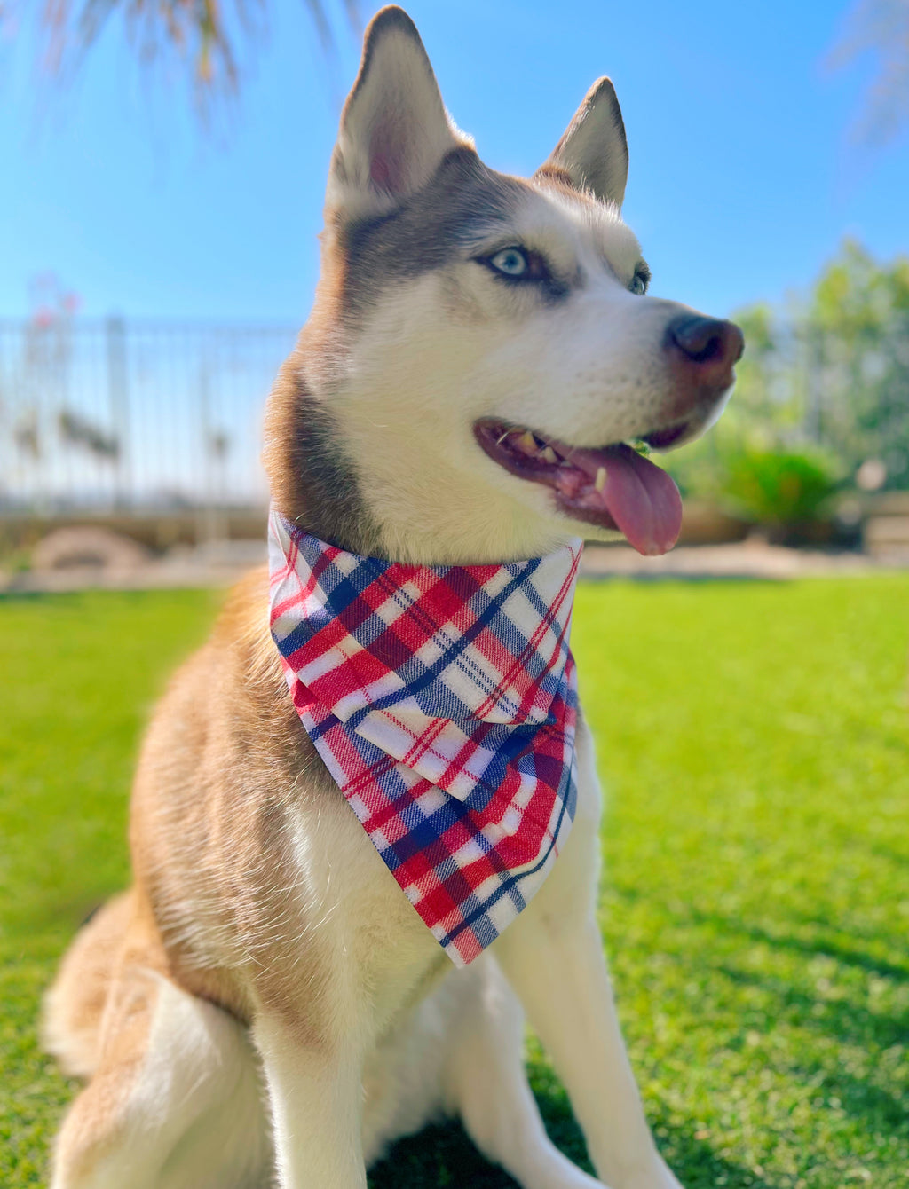 USA Plaid Bandana