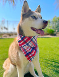 USA Plaid Bandana