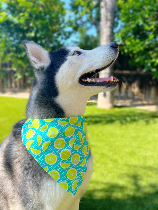 Margarita Limes Bandana