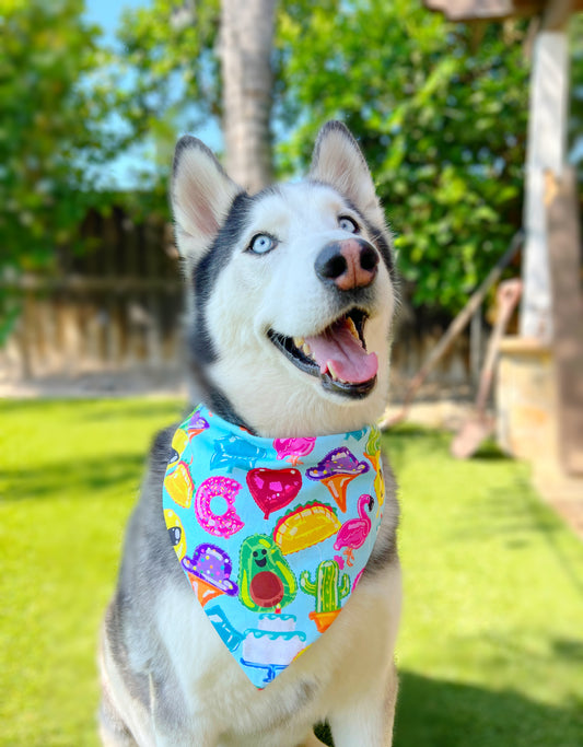 Summer Balloons Bandana