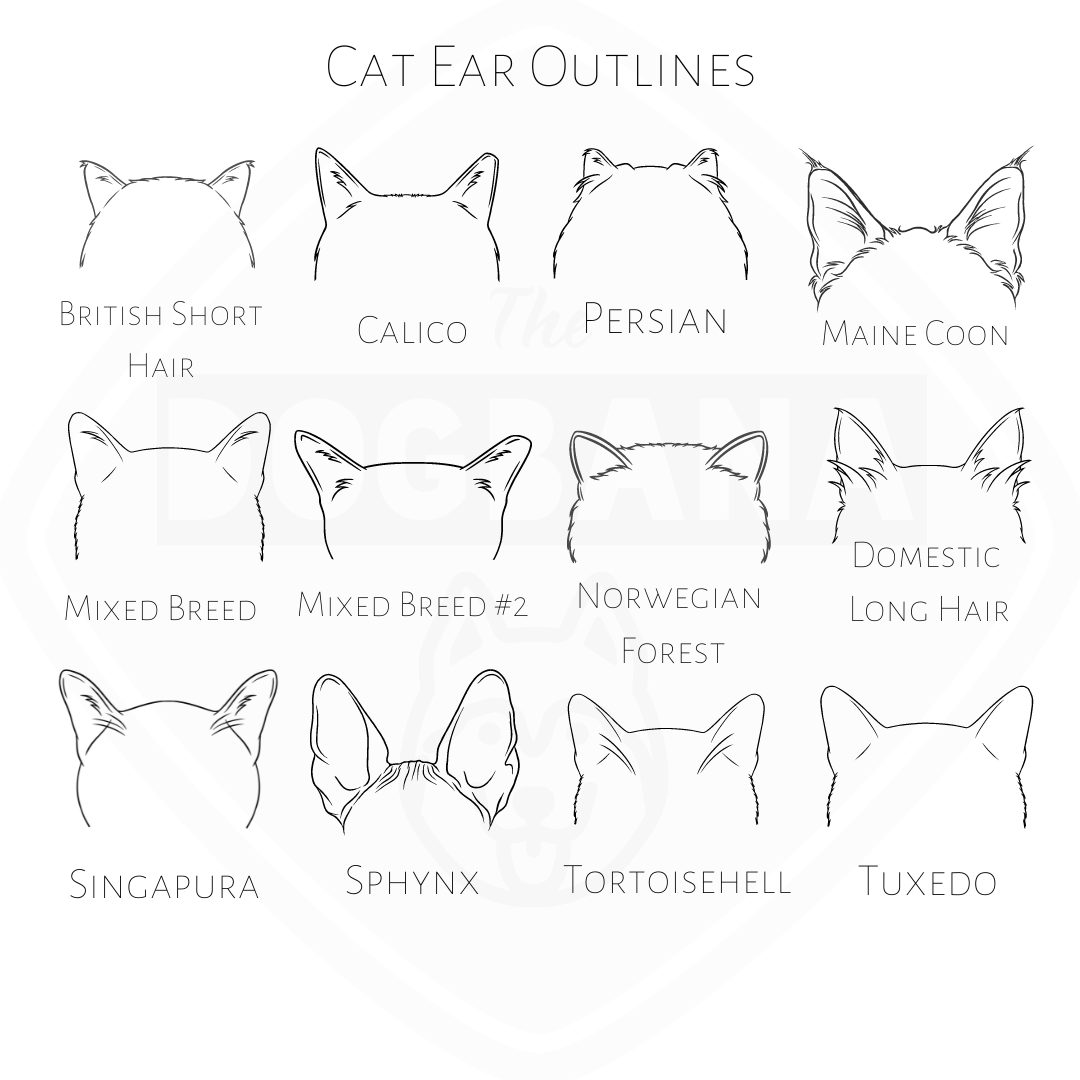 Different types online of cat ears