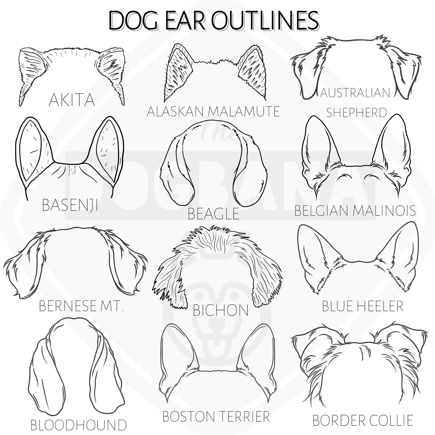 Dog and Cat Ears Outline Shirt