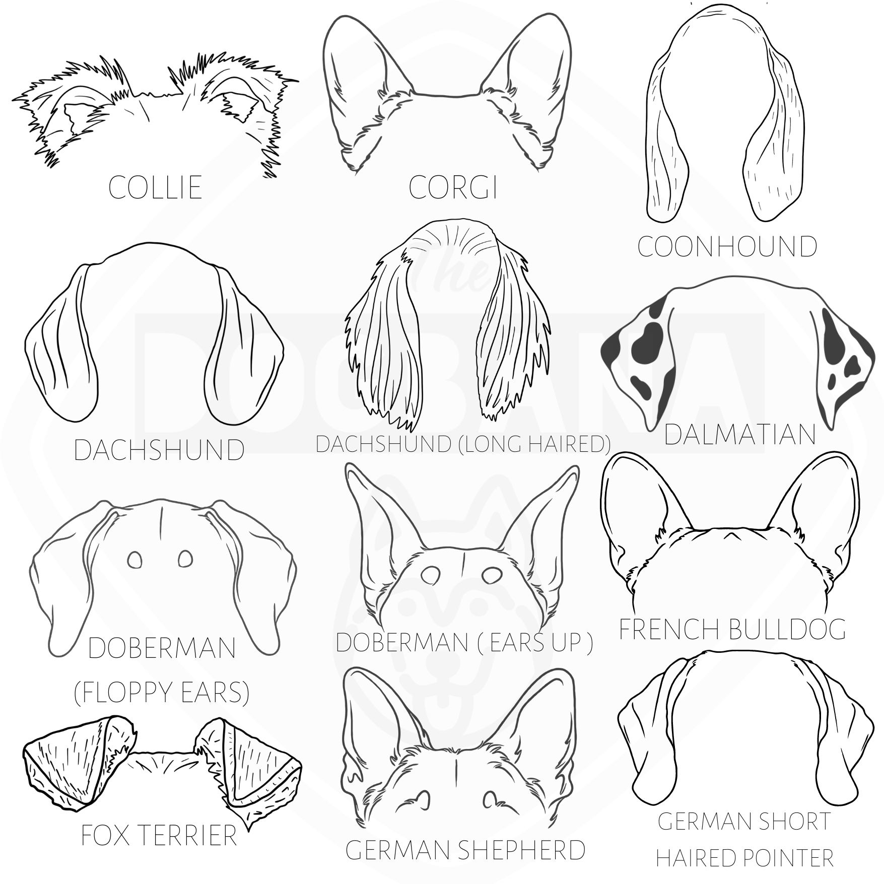 Dog and Cat Ears Outline Crewneck – The Dogbana