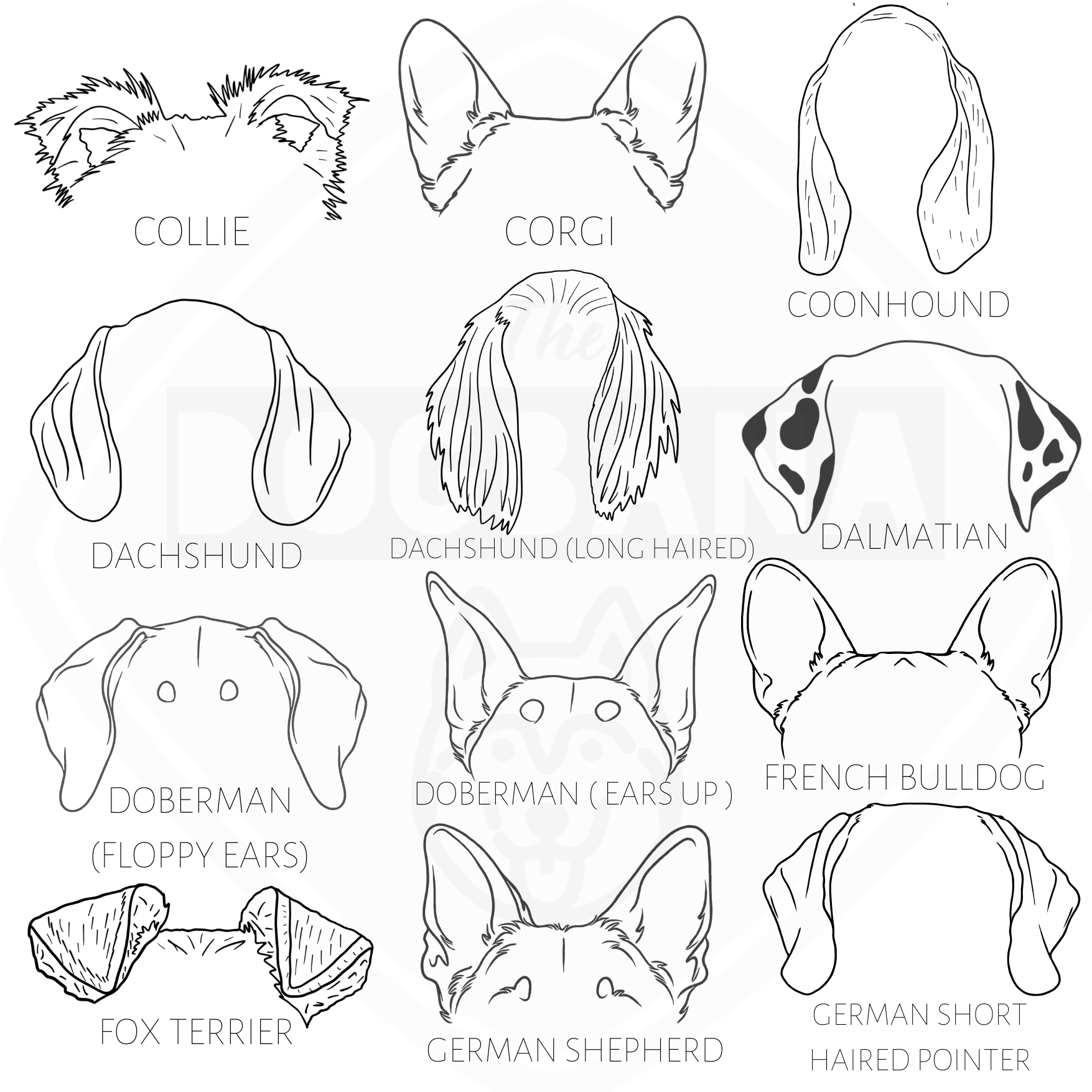 Dog ears online