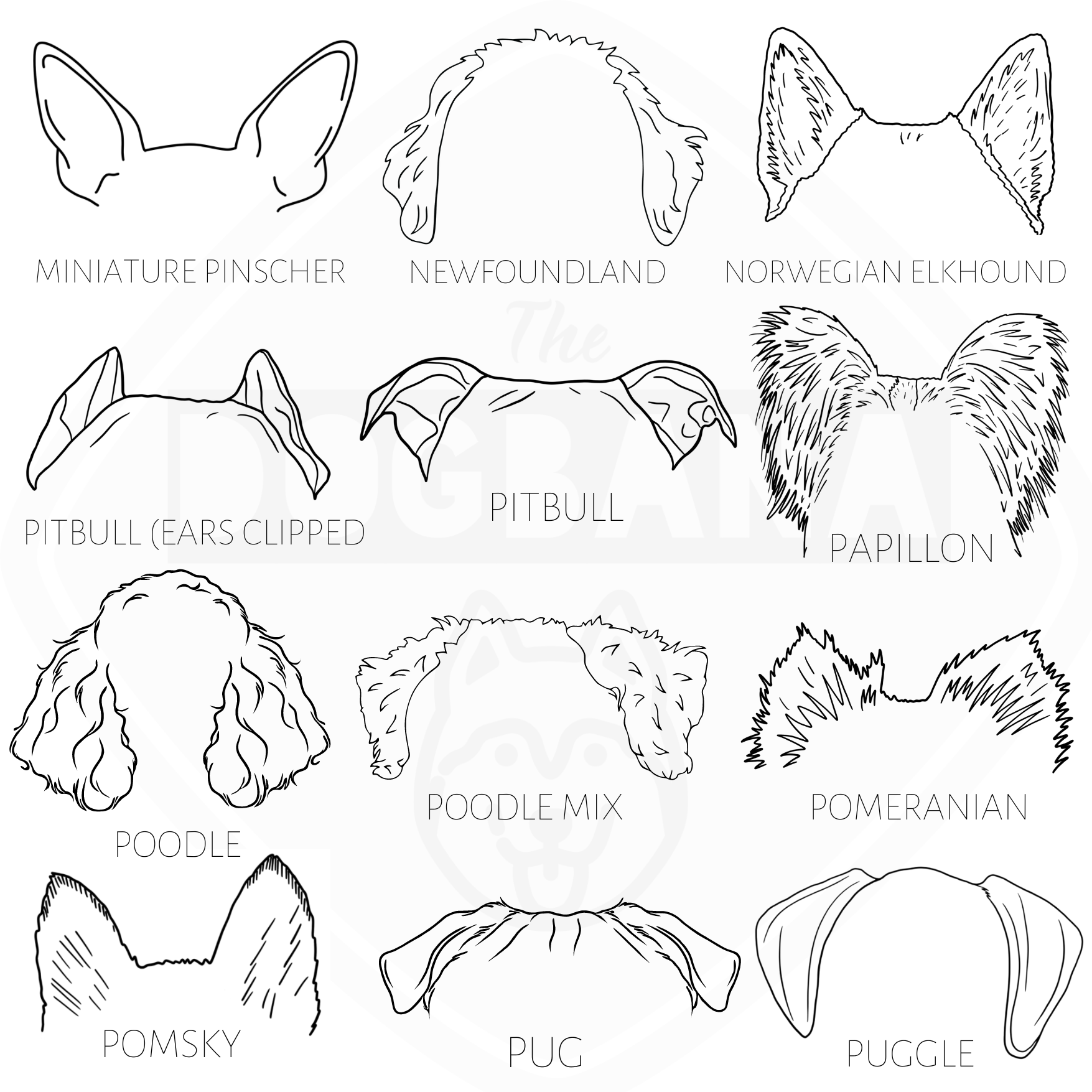 Dog and Cat Ears Outline Shirt