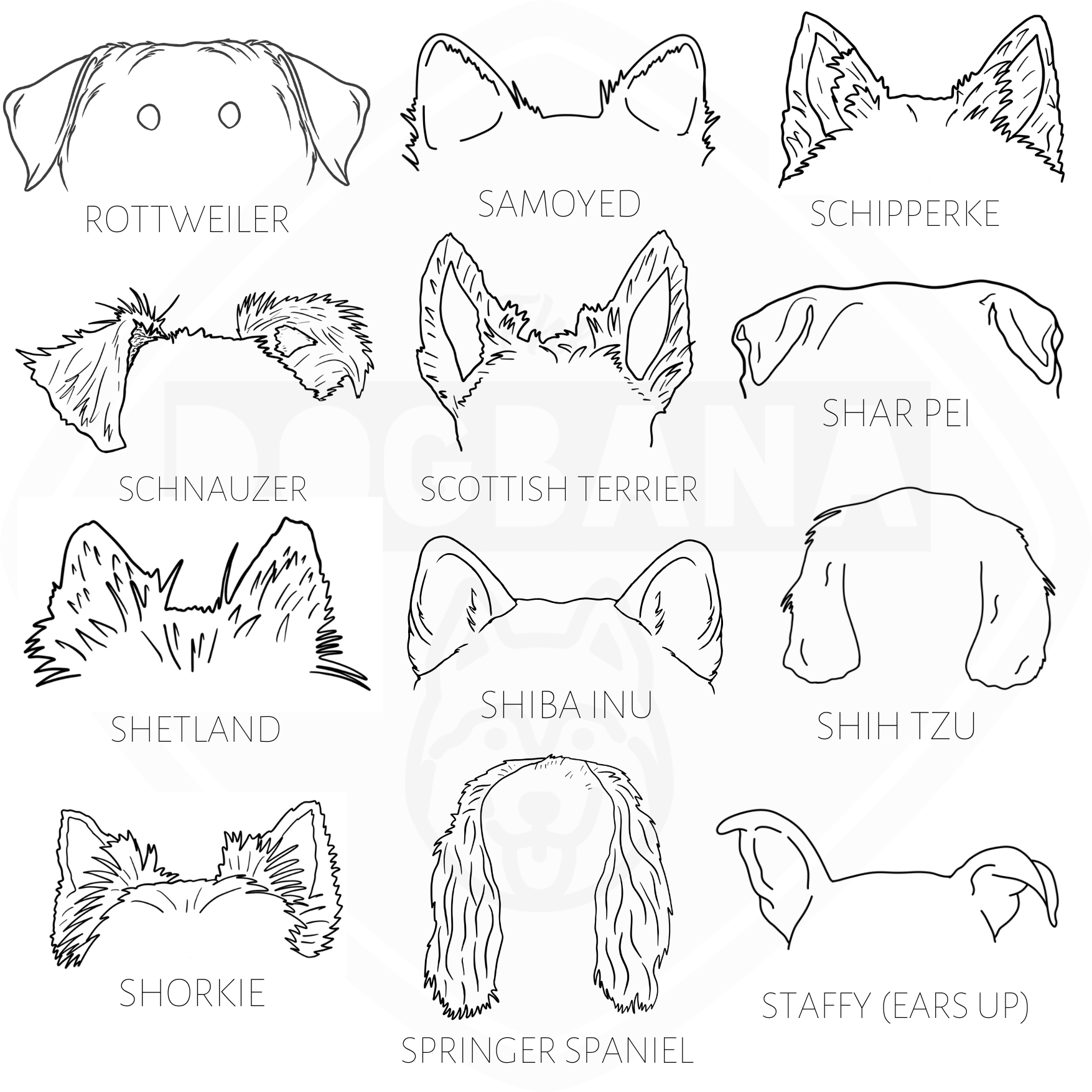 Dog and Cat Ears Outline Crewneck#N# – The Dogbana