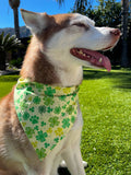 Lucky Paws Bandana