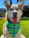 Luck of the Irish Bandana