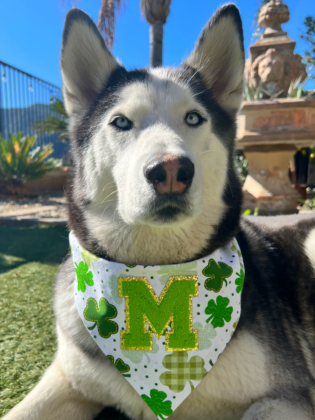 Personalized St. Patty’s Day Bandana