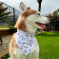 Spring Butterflies Bandana