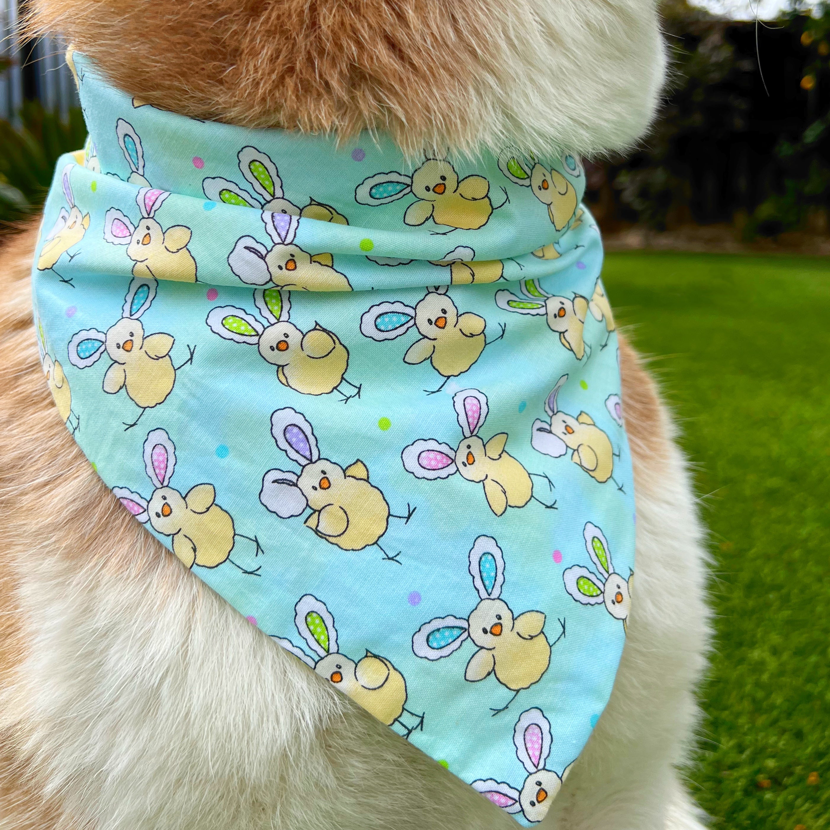 Chicks With Bunny Ears Bandana