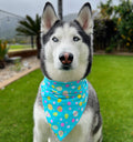 Colorful Easter Eggs Bandana