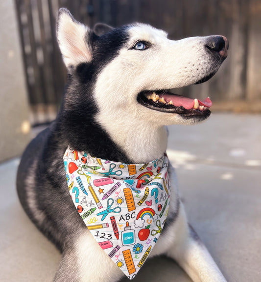 Back to School Bandana