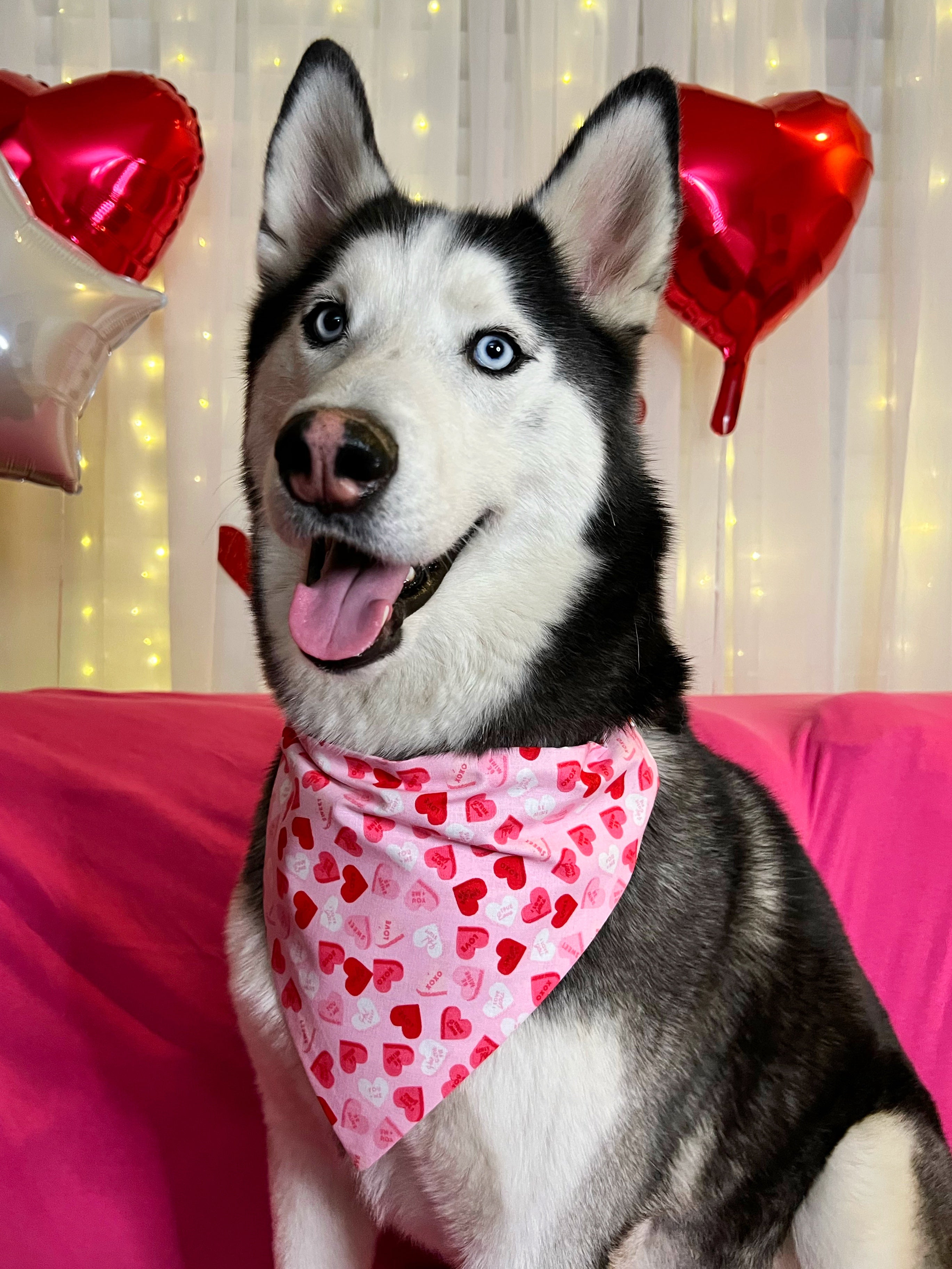 Valentines day 2024 dog bandana