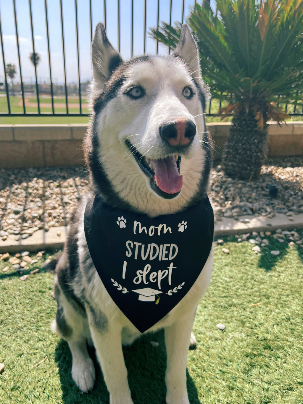 Mom Studied, I Slept Graduation Bandana