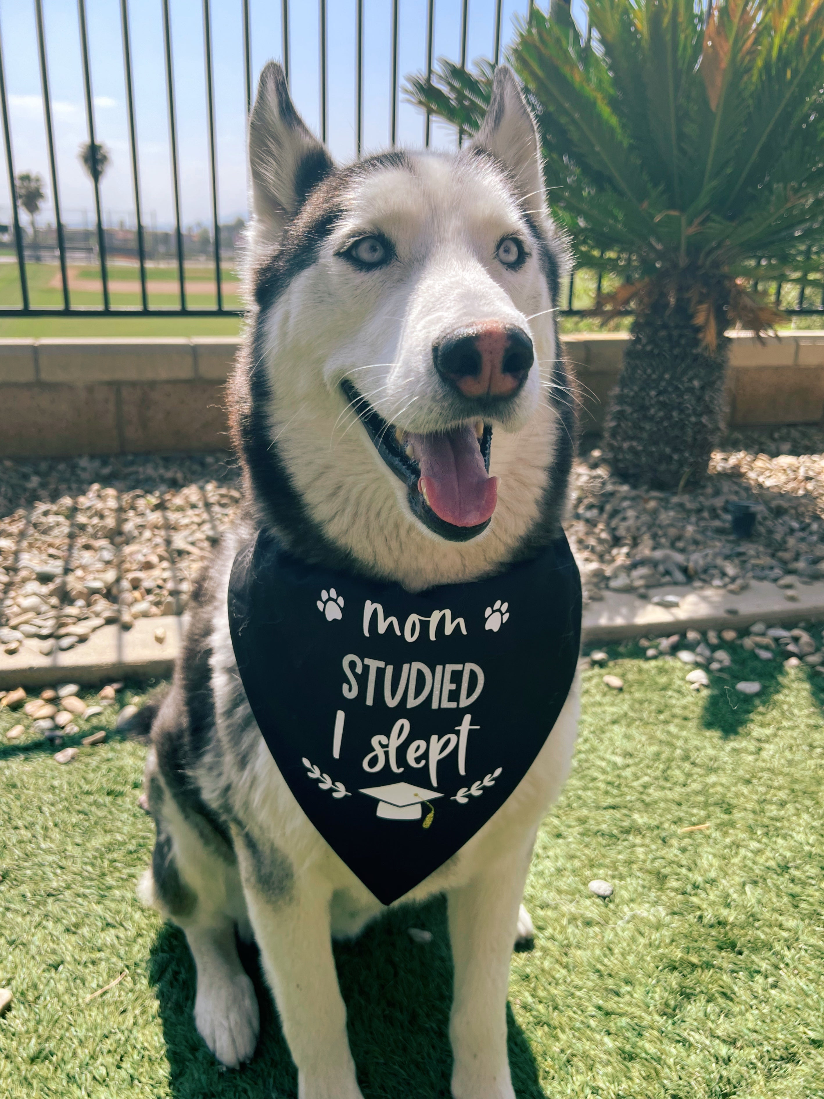 Mom Studied, I Slept Graduation Bandana
