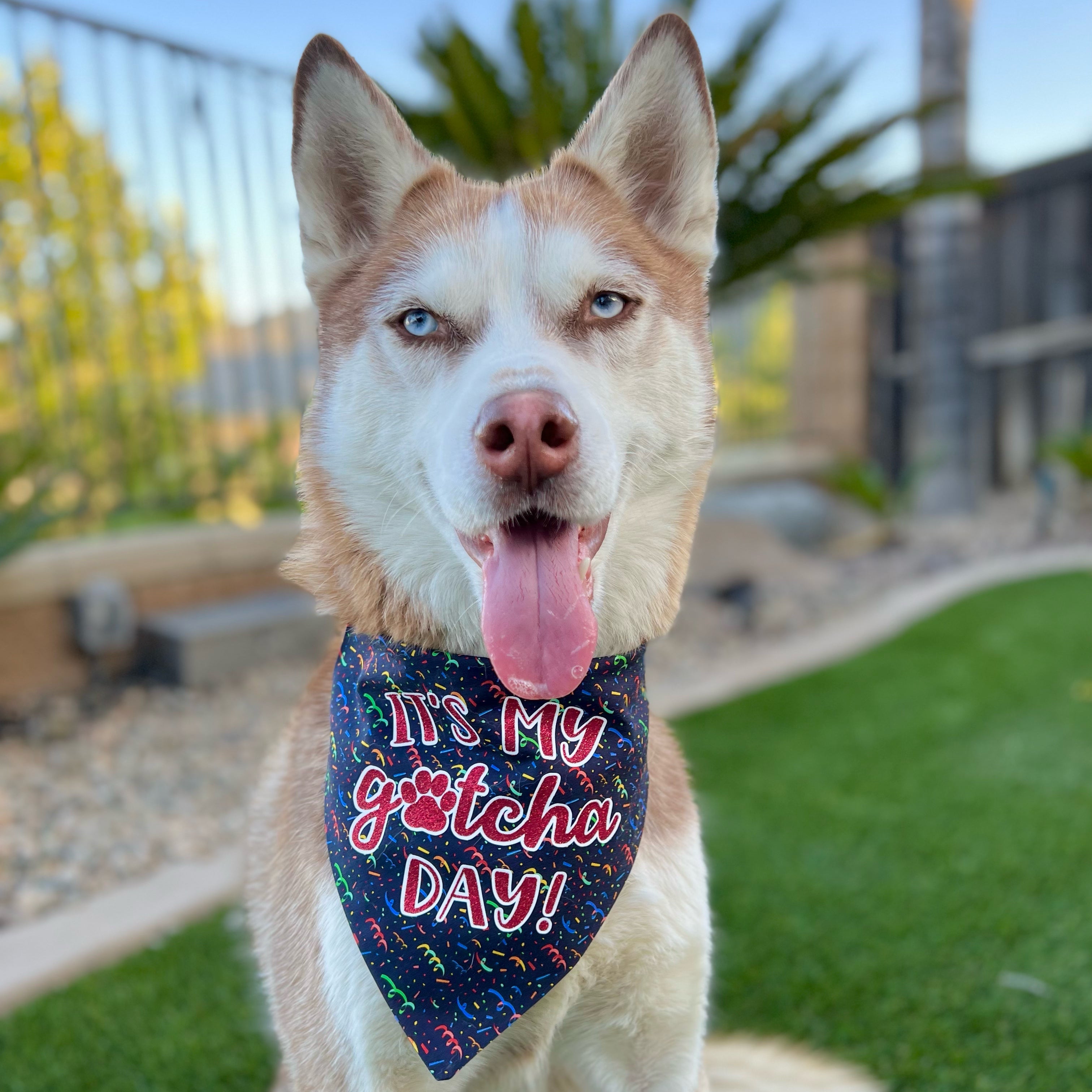 It's My Gotcha Day Bandana