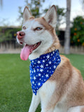Liberty Stars Bandana