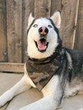 Camoflauge Dog Bandana