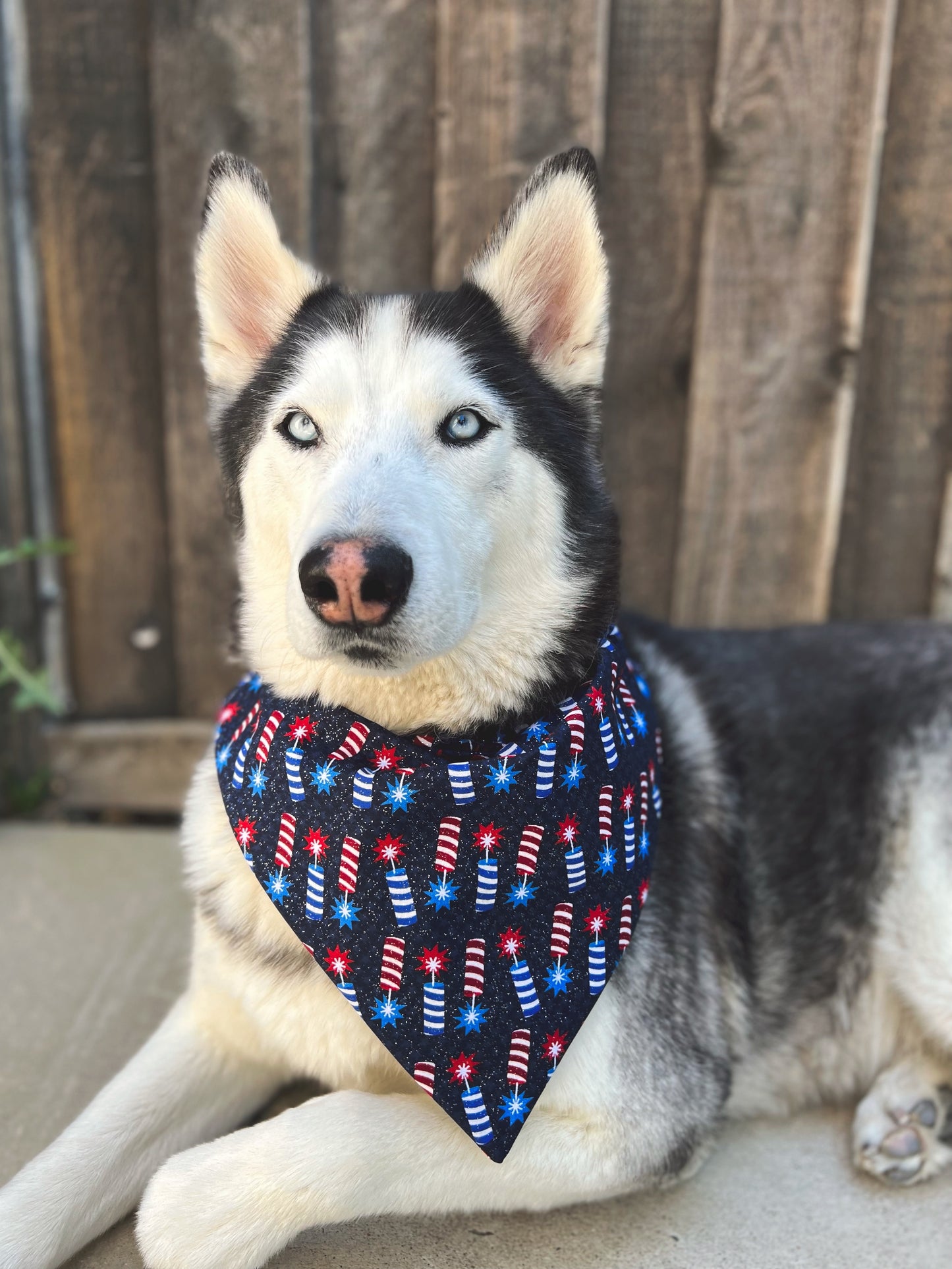 Fireworks Bandana