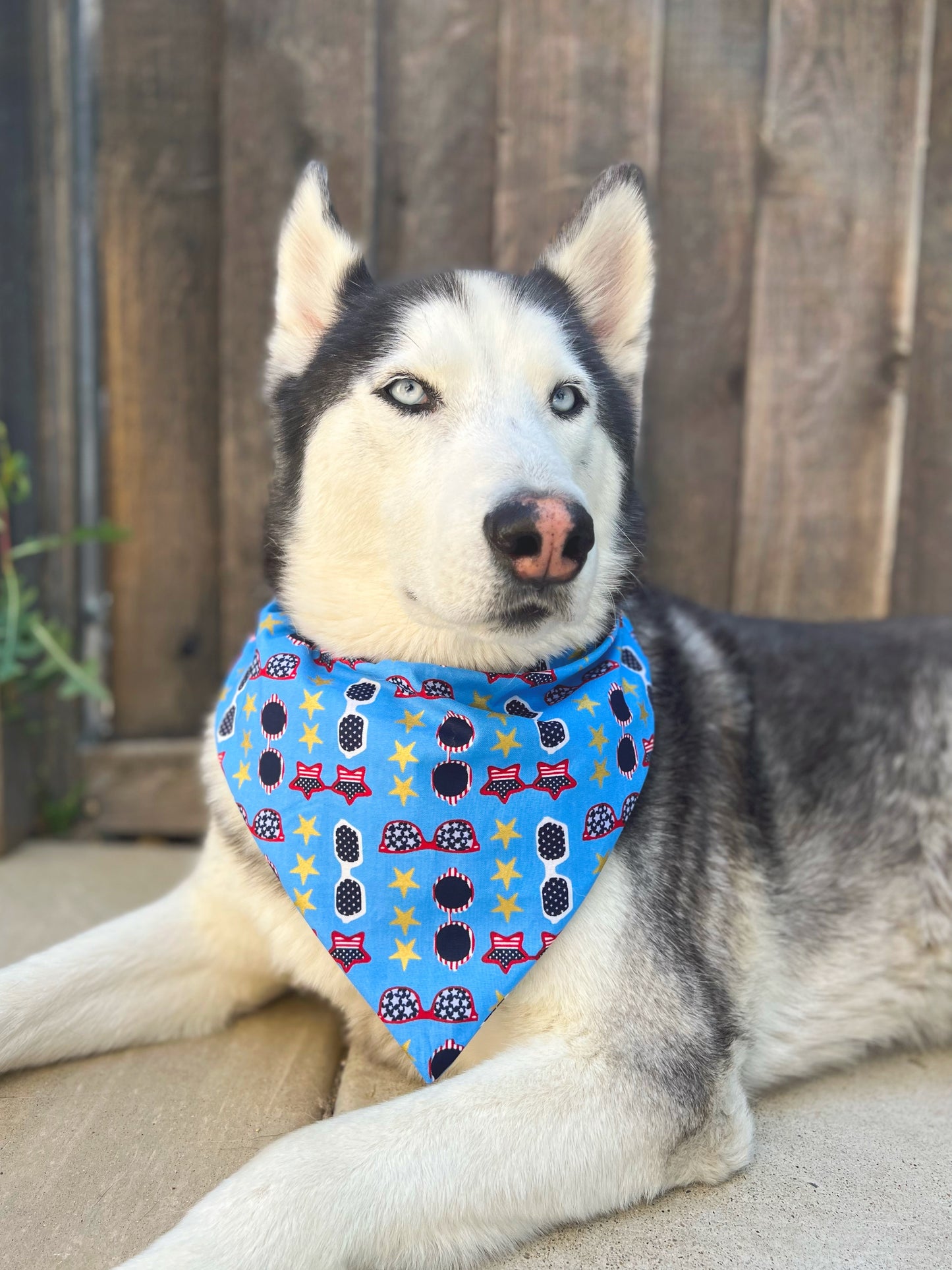 USA Sunnies Bandana