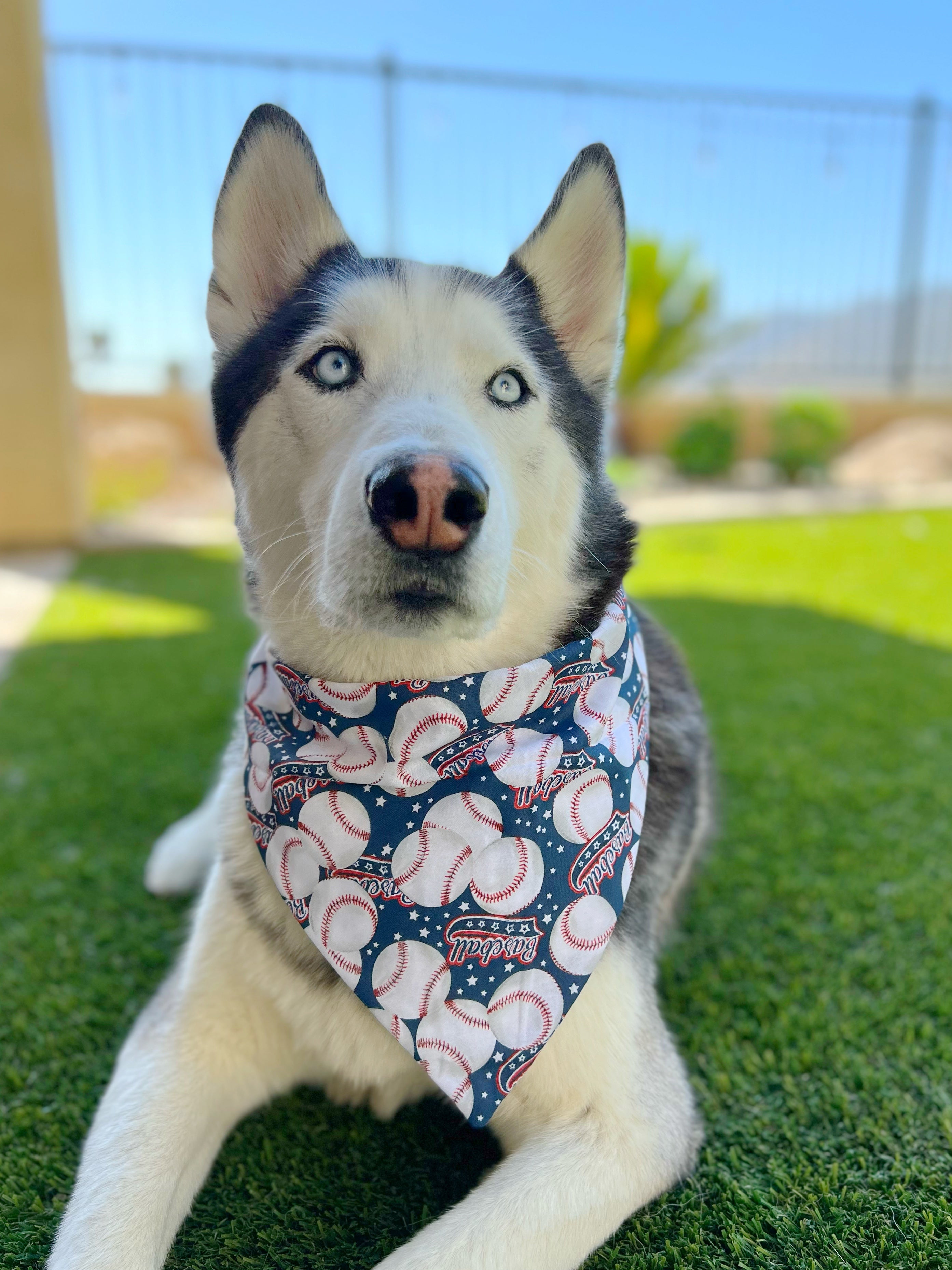 Classic Baseball Bandana
