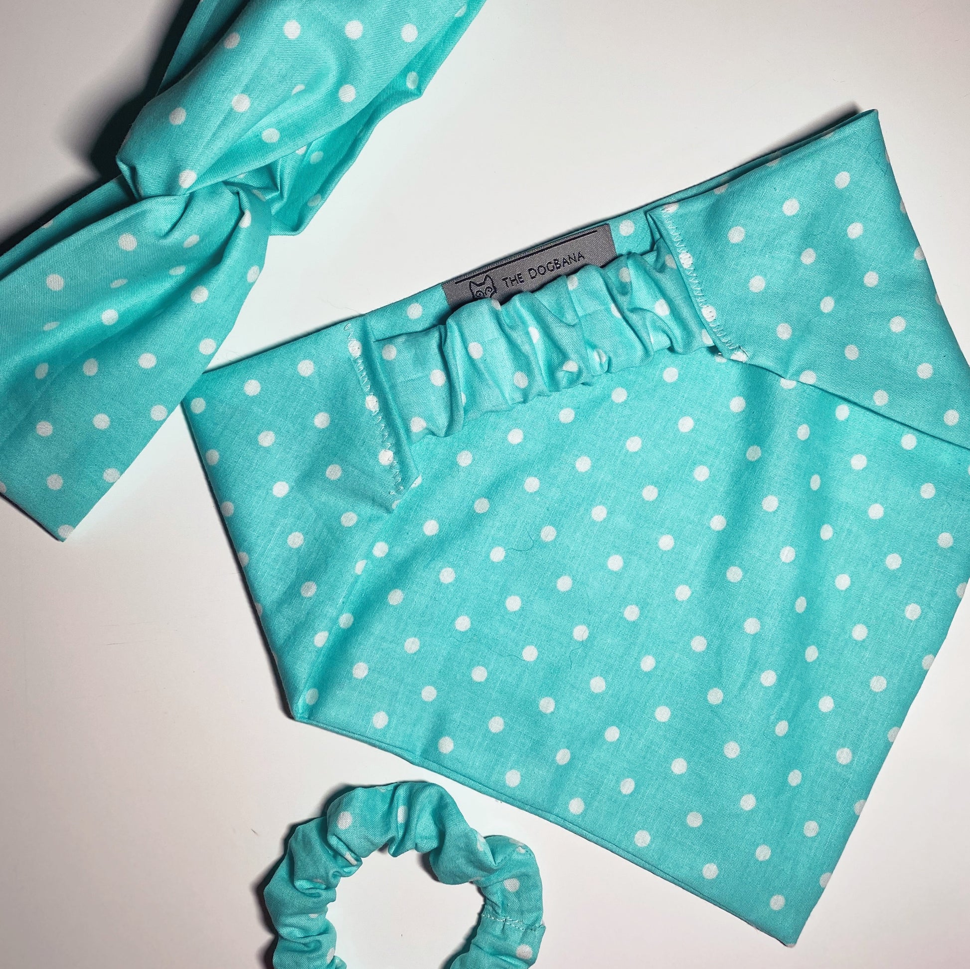 Turquoise Polka Dot Matching Set - Dogbana 