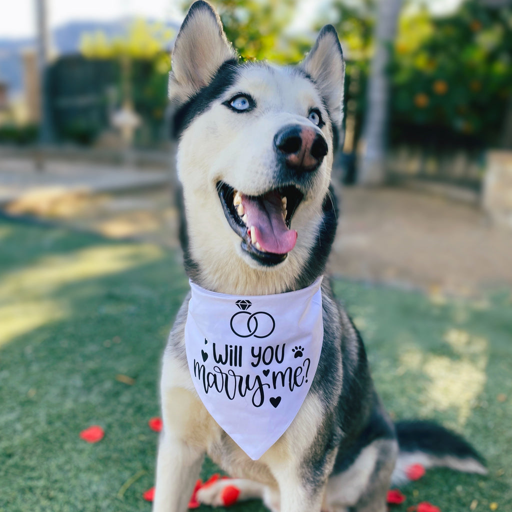Will You Marry Me? Bandana - Dogbana 