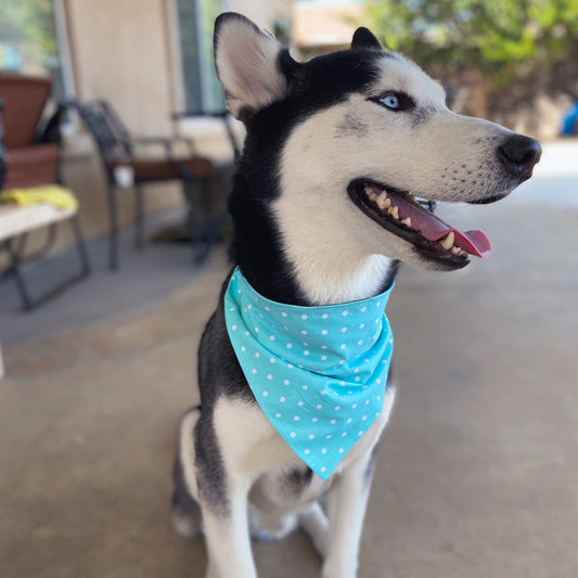 Turqouise Polka Dot Bandana - Dogbana 