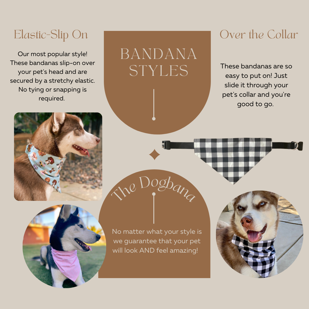 Classic Dog Bandana Matching Set
