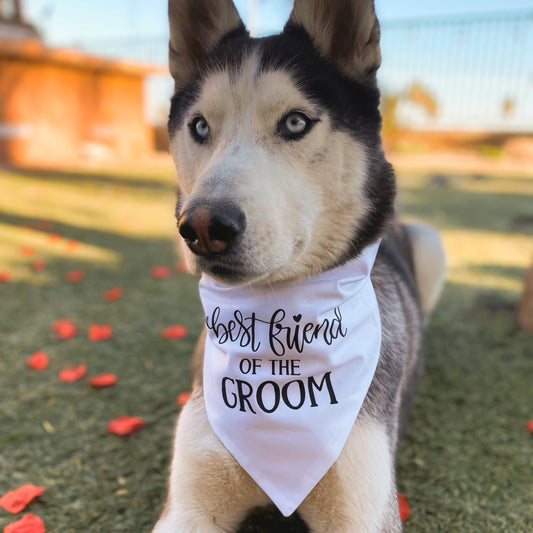 Best Friend of the Groom Bandana - Dogbana 