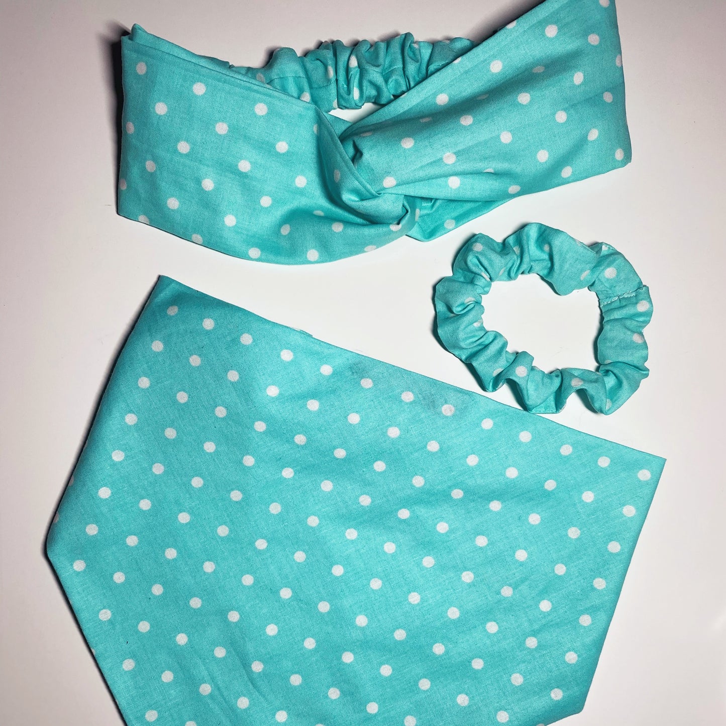 Turquoise Polka Dot Matching Set - Dogbana 