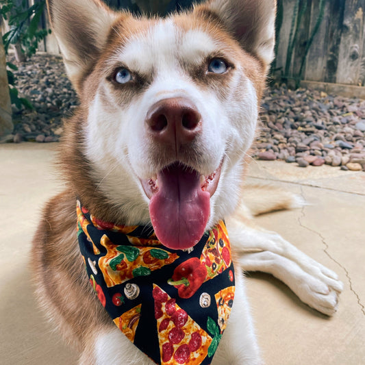 Pizza Party Bandana - Dogbana 